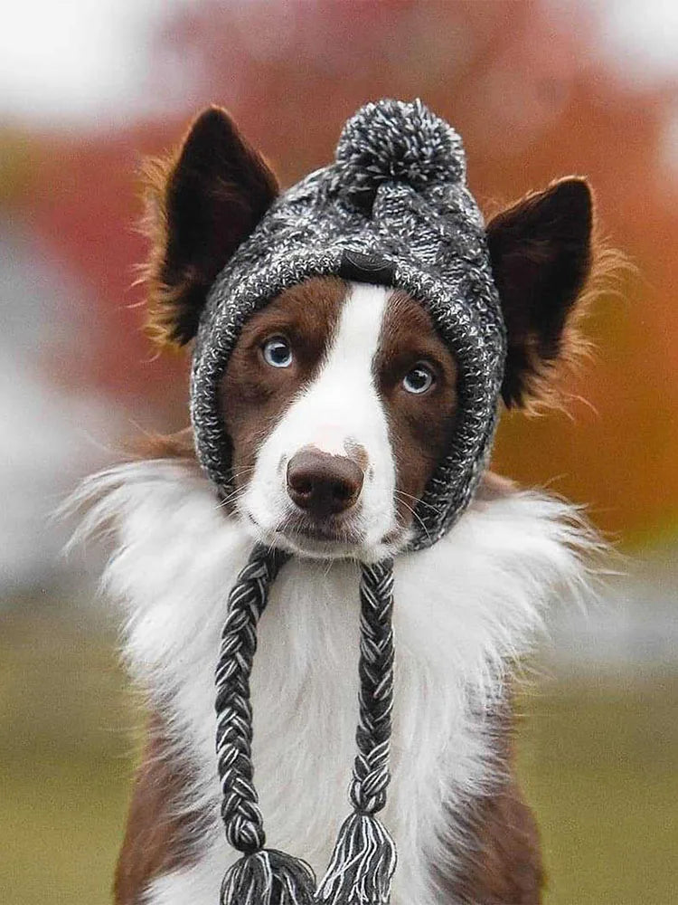 Winter Warm Dog Hats