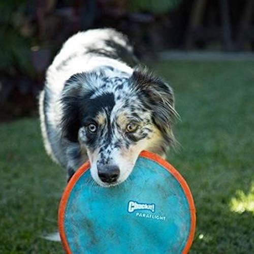Paraflight Flying Disc - Large Size for Dogs