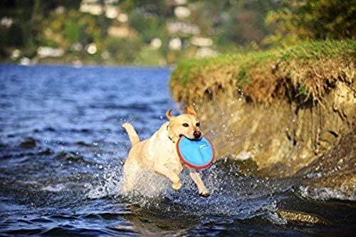 Paraflight Flying Disc - Large Size for Dogs