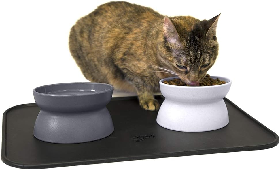 Kitty City Raised Cat Food Bowl Collection - Stress-Free Feeder