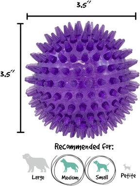 Gnawsome Medium Squeaker Ball Dog Toy - 3.5 Inches, Assorted Colors