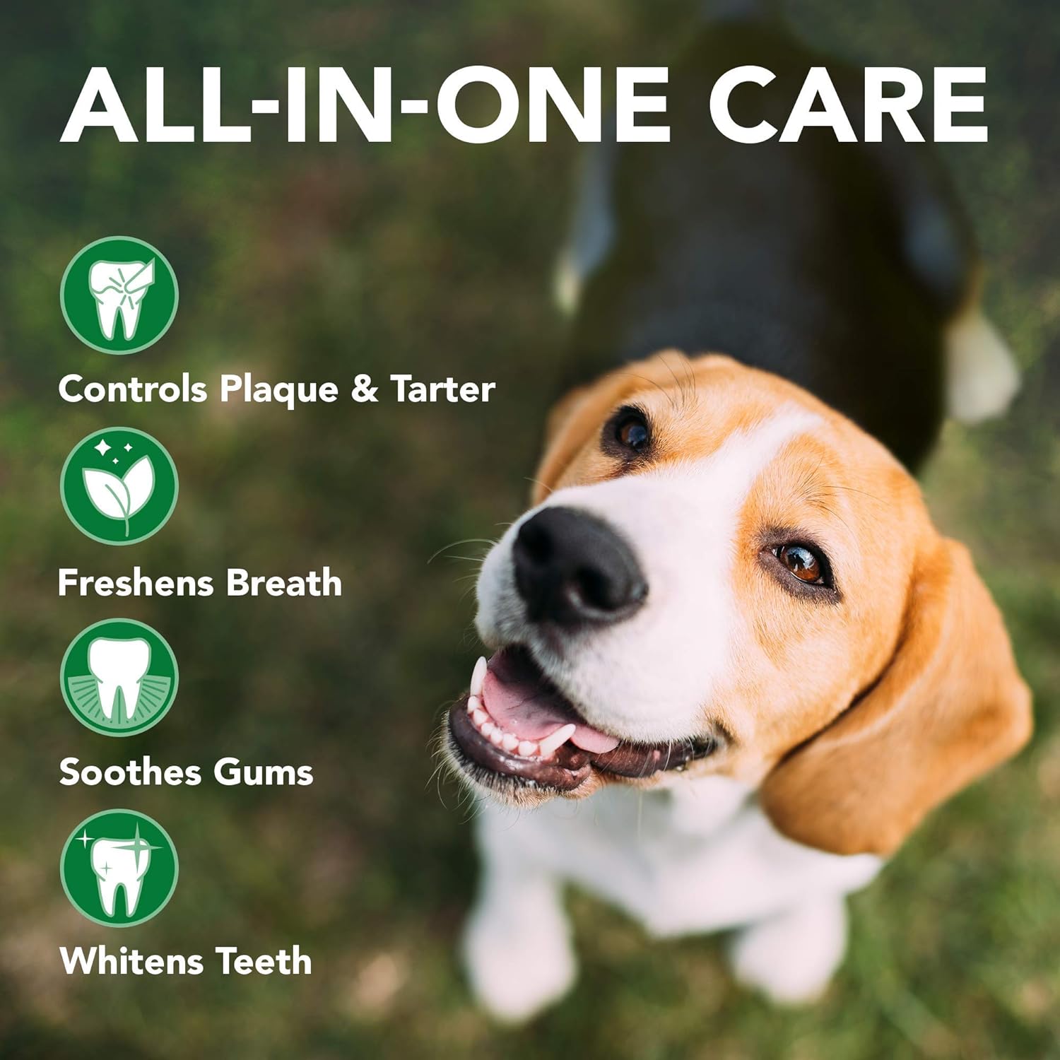 Dog Toothbrush & Enzymatic Toothpaste Kit - Natural & Effective Dental Care
