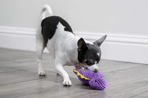 Squeaky Dinos Bruto Dog Toy - Mini, Purple, Chew Guard Technology
