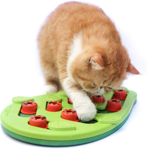 Catstages Buggin' Out Puzzle & Play - Interactive Cat Toy