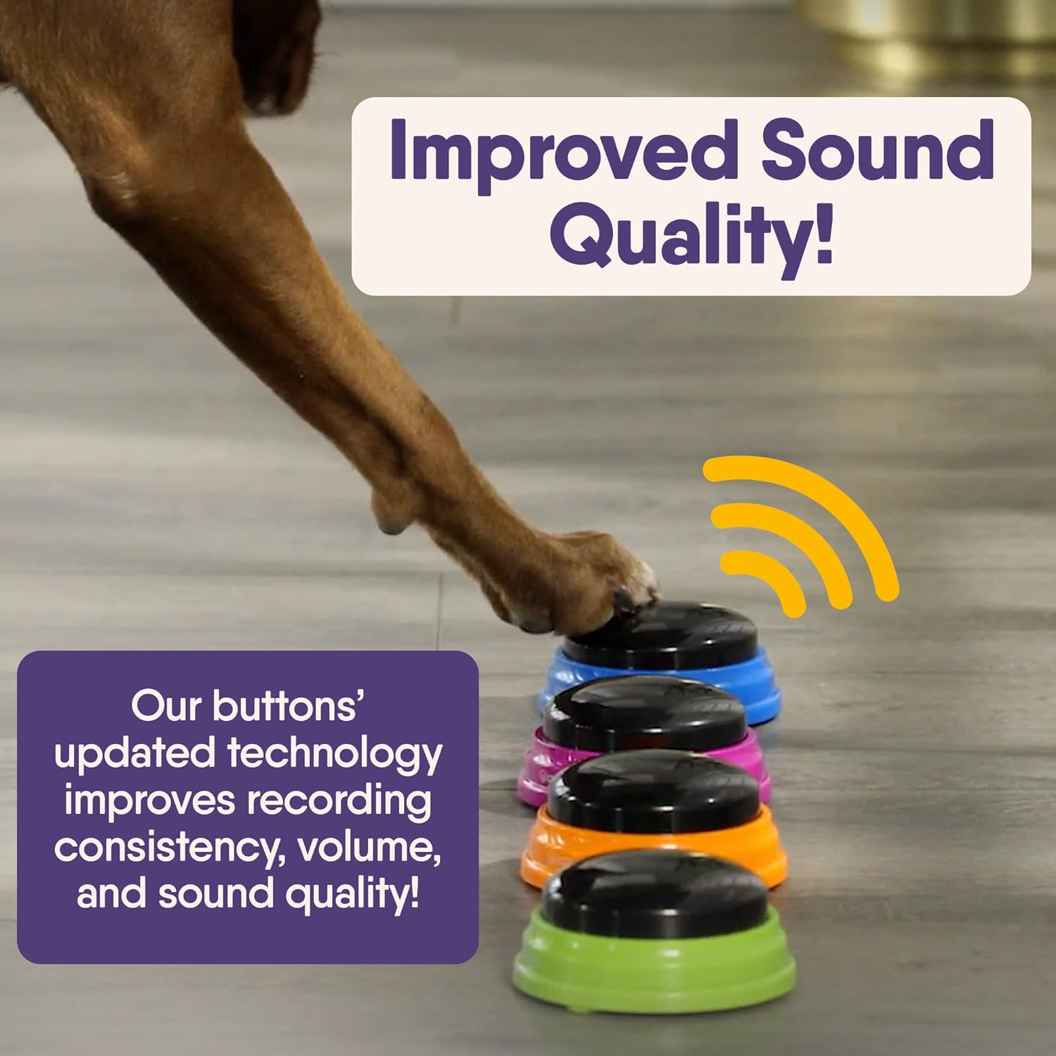 Hunger for Words Talking Pet Starter Set - 4 Recordable Buttons for Dog Communication