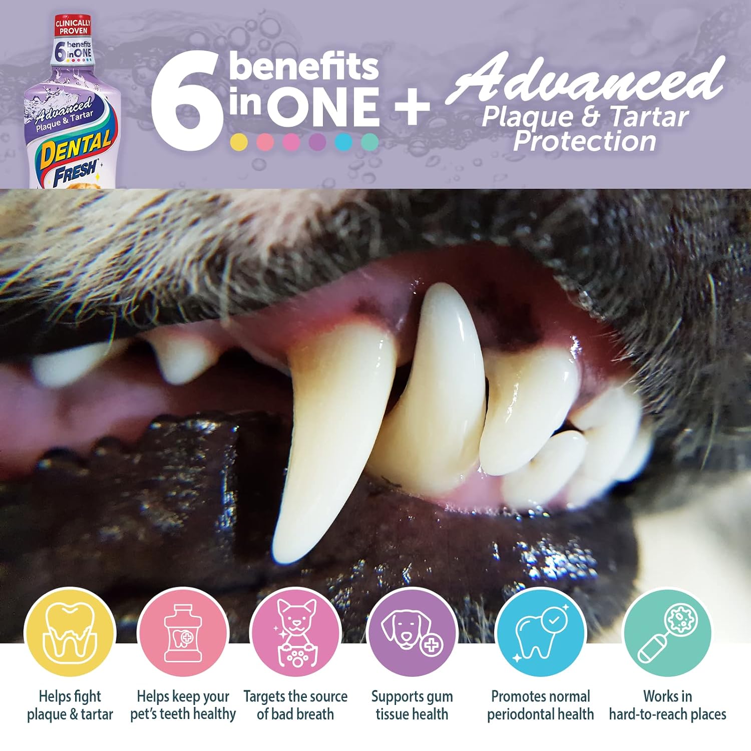 Dental Fresh Advanced Plaque and Tartar Water Additive, 17oz – Dog Teeth Cleaning Formula for Fresh Breath and Optimal Oral Health