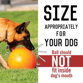 Virtually Indestructible 10-Inch Best Ball for Dogs