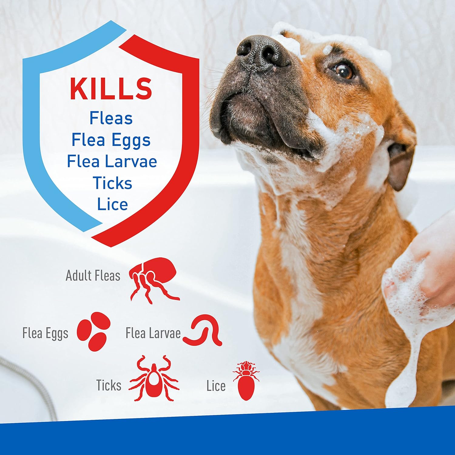 Adams Plus Flea & Tick Shampoo with Precor - Sensitive Skin Flea Treatment for Cats, Kittens, Dogs, and Puppies