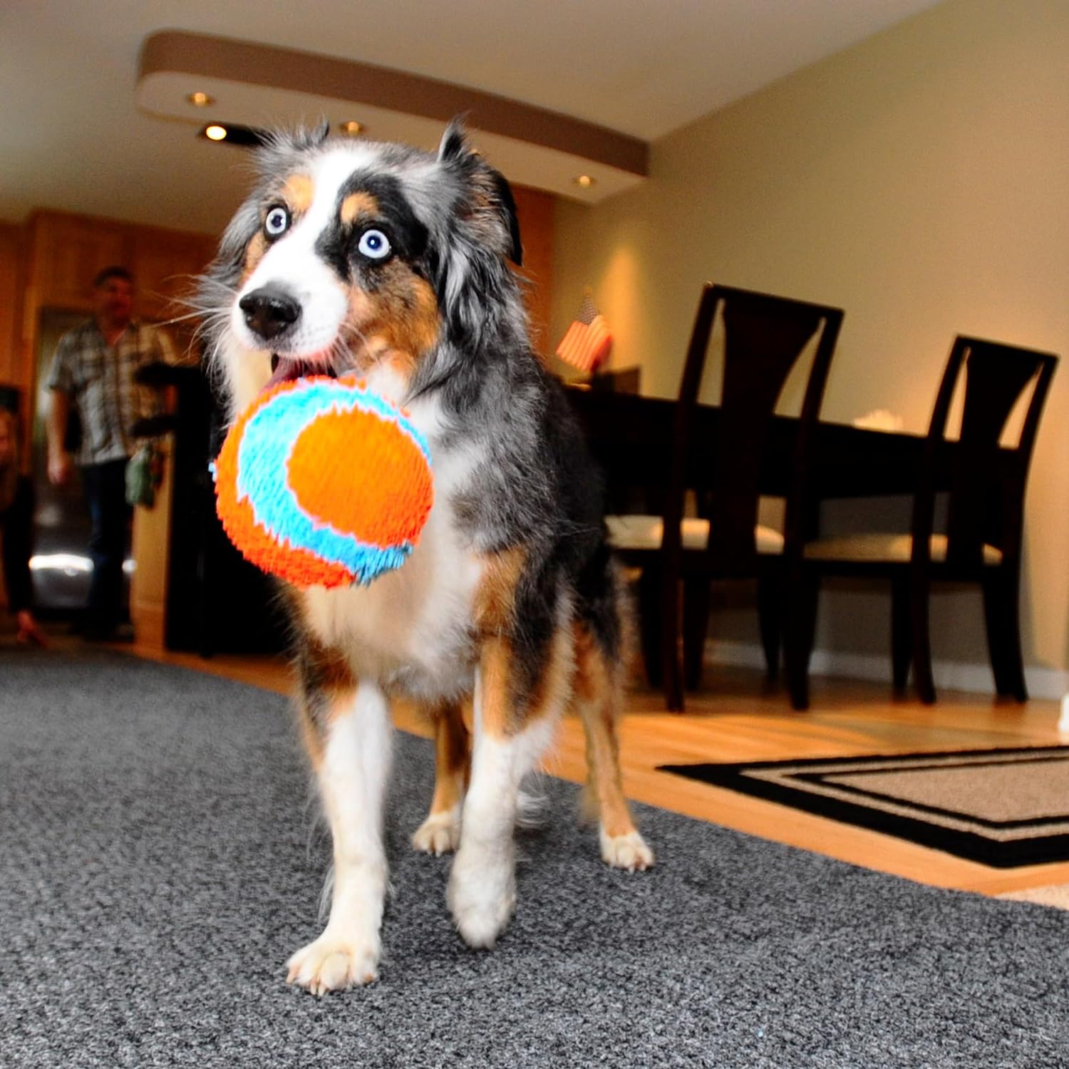 Chuckit! Indoor Fetch Ball Dog Toy - 4.75 Inch, Orange/Blue