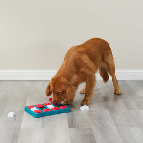 Nina Ottosson Intermediate Dog Brick Puzzle Toy