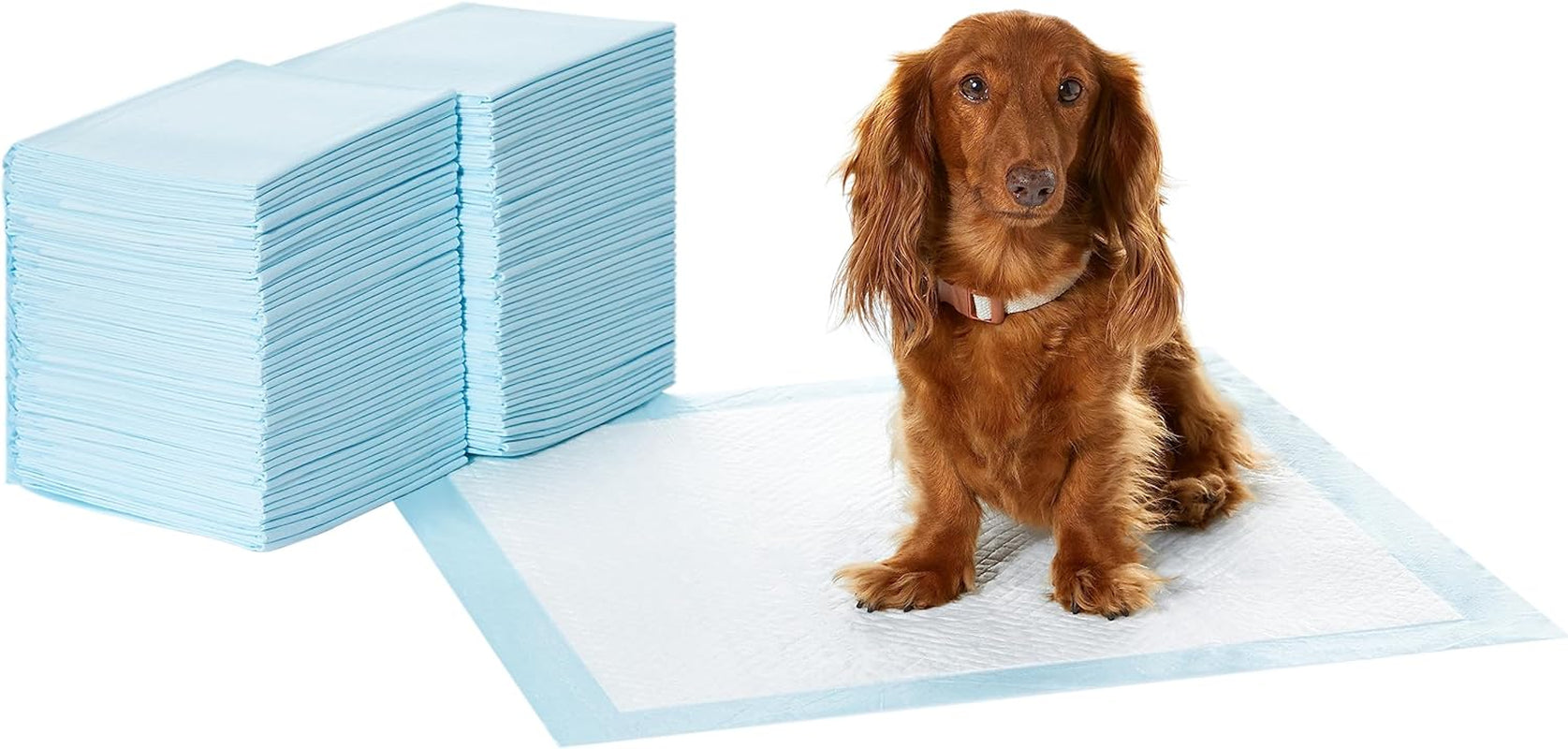 Dog & Puppy Pee Pads - Leak-Proof, Quick-Dry, Potty Training Essentials - 100 Pack
